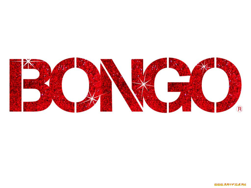 , bongo